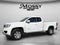 2019 Chevrolet Colorado 2WD Work Truck