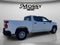 2022 Chevrolet Silverado 1500 LTD WT