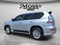 2017 Lexus GX GX 460