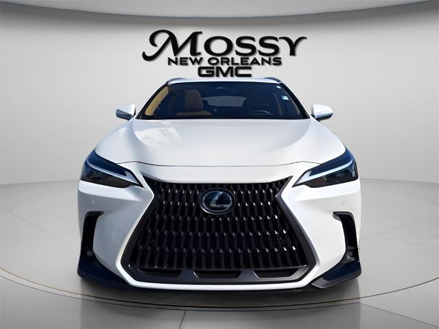 2025 Lexus NX NX 250 Premium