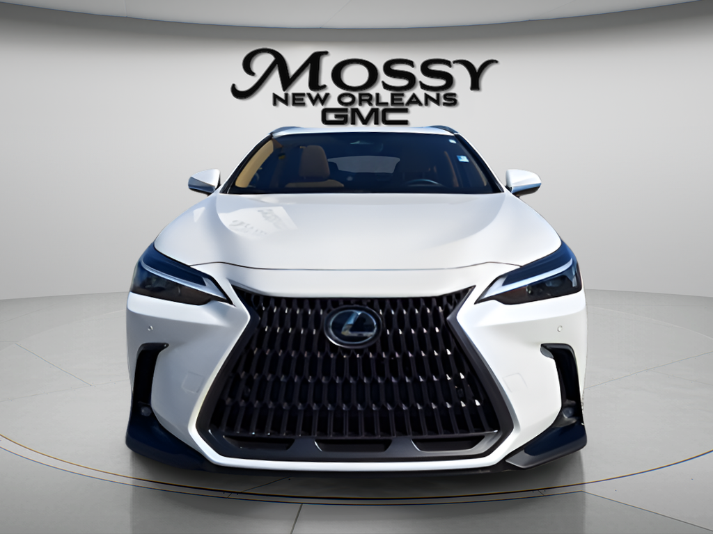 2025 Lexus NX NX 250 Premium
