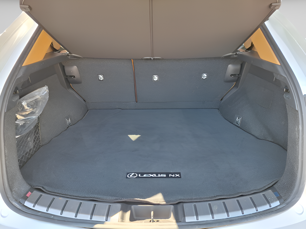 2025 Lexus NX NX 250 Premium