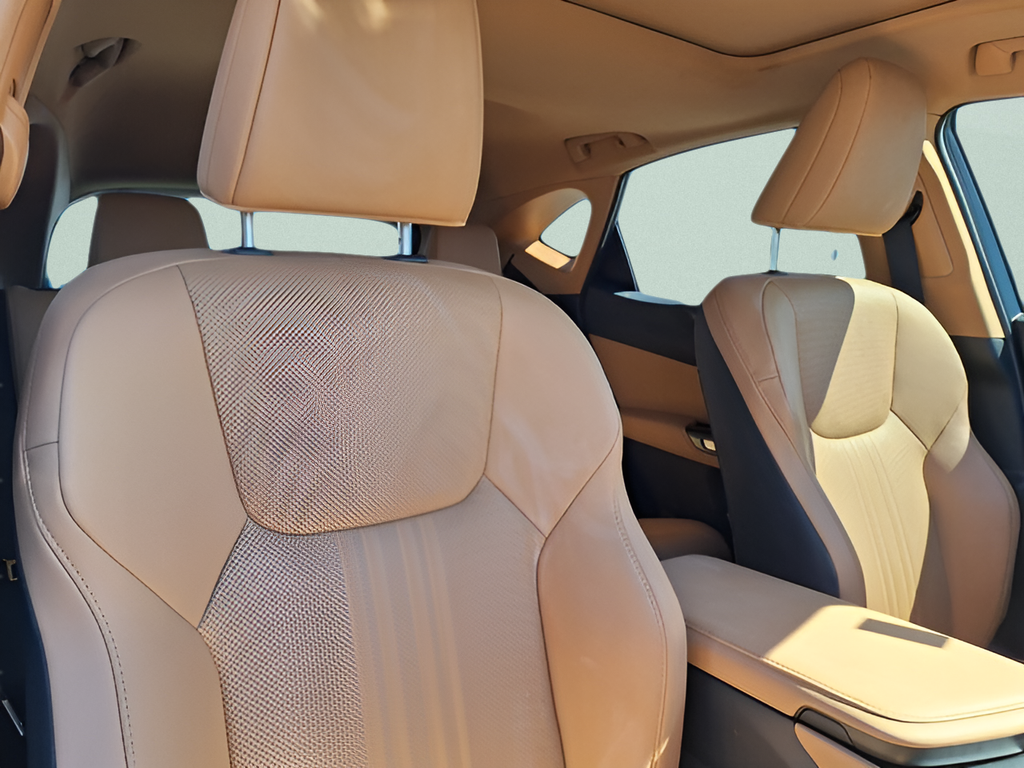 2025 Lexus NX NX 250 Premium