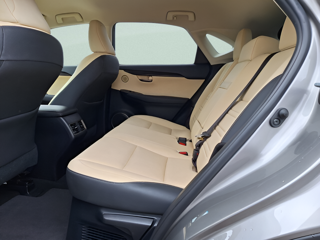 2018 Lexus NX 