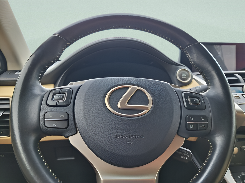 2018 Lexus NX 