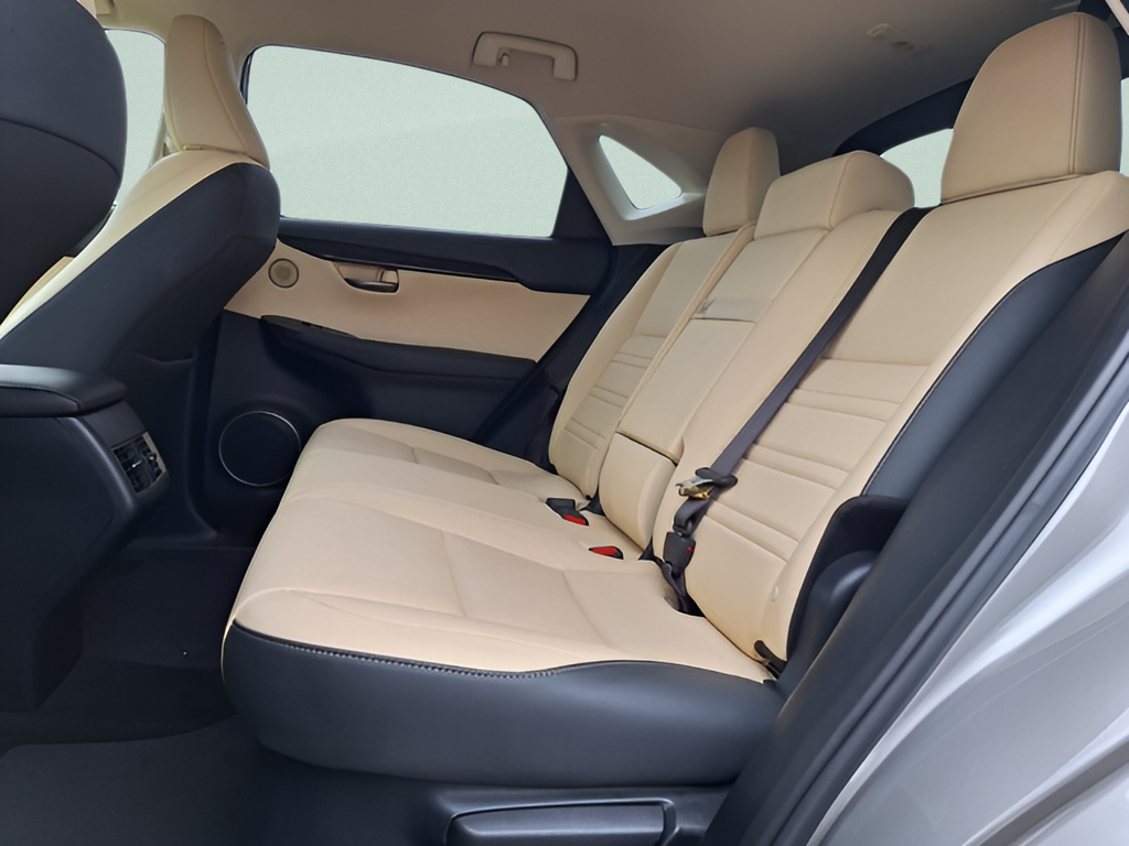 2018 Lexus NX 