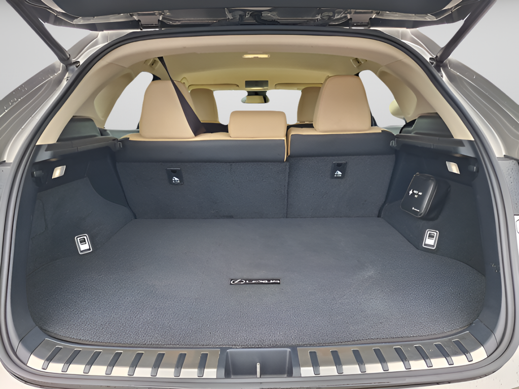 2018 Lexus NX 