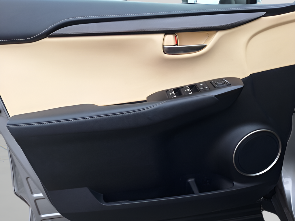 2018 Lexus NX 